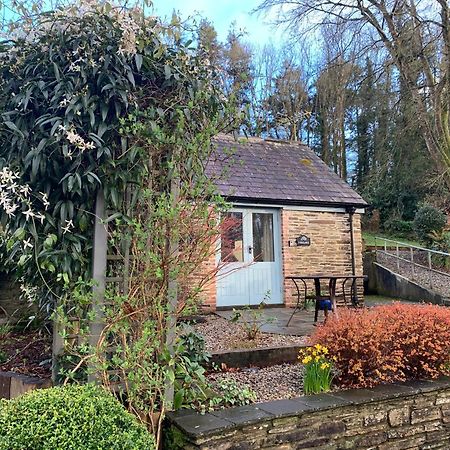 Maristow Cottages, Overlook Tamar Valley Dartmoor Πλίμουθ Εξωτερικό φωτογραφία