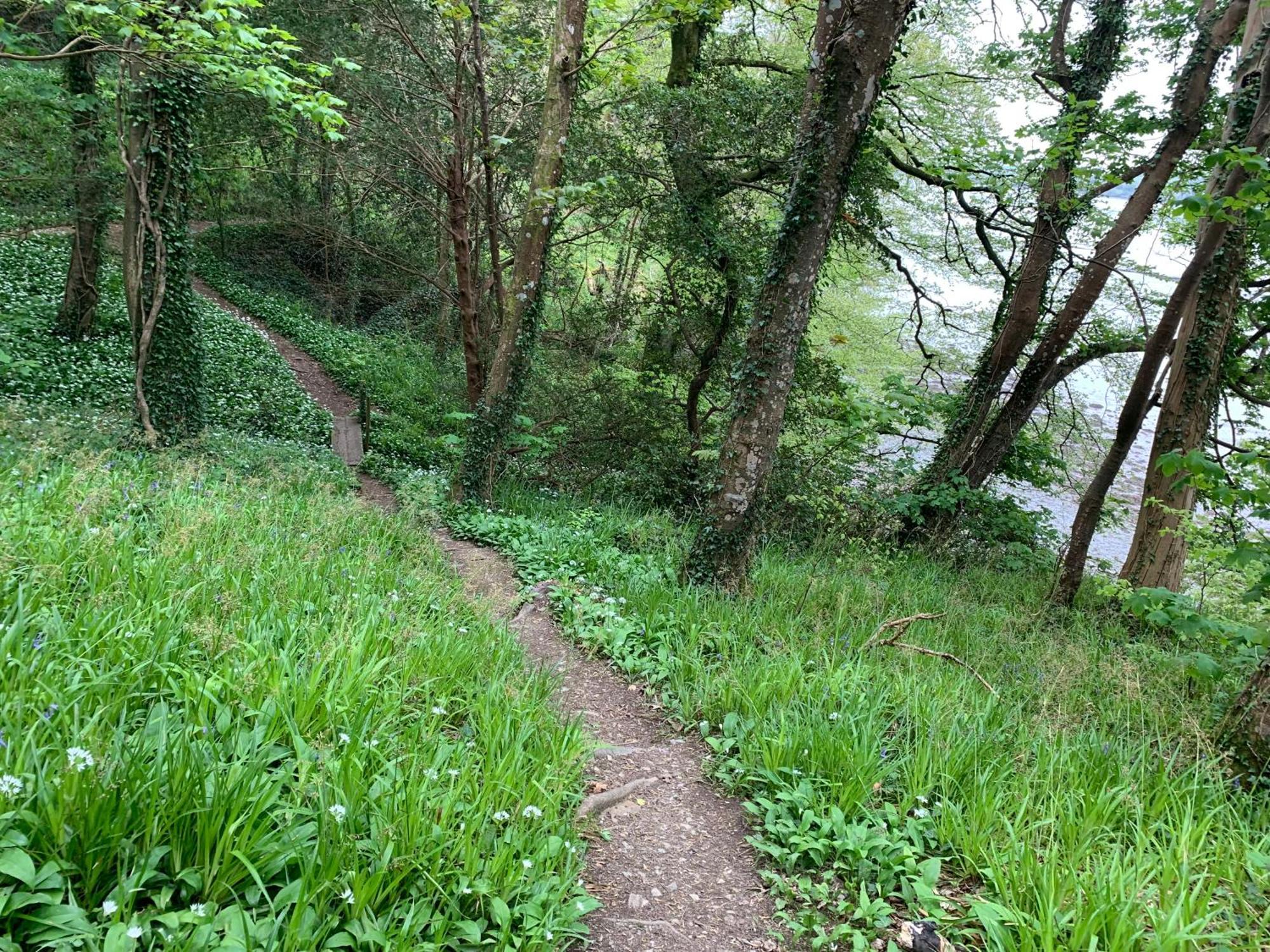 Maristow Cottages, Overlook Tamar Valley Dartmoor Πλίμουθ Εξωτερικό φωτογραφία
