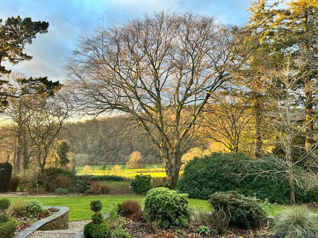 Maristow Cottages, Overlook Tamar Valley Dartmoor Πλίμουθ Εξωτερικό φωτογραφία