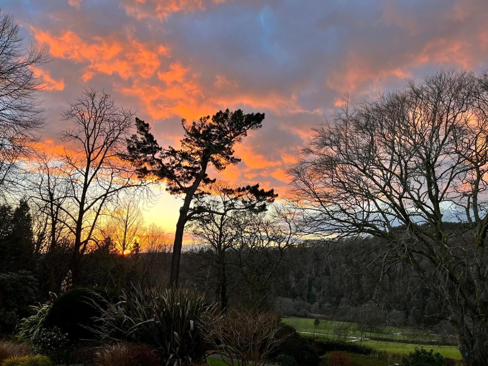 Maristow Cottages, Overlook Tamar Valley Dartmoor Πλίμουθ Εξωτερικό φωτογραφία